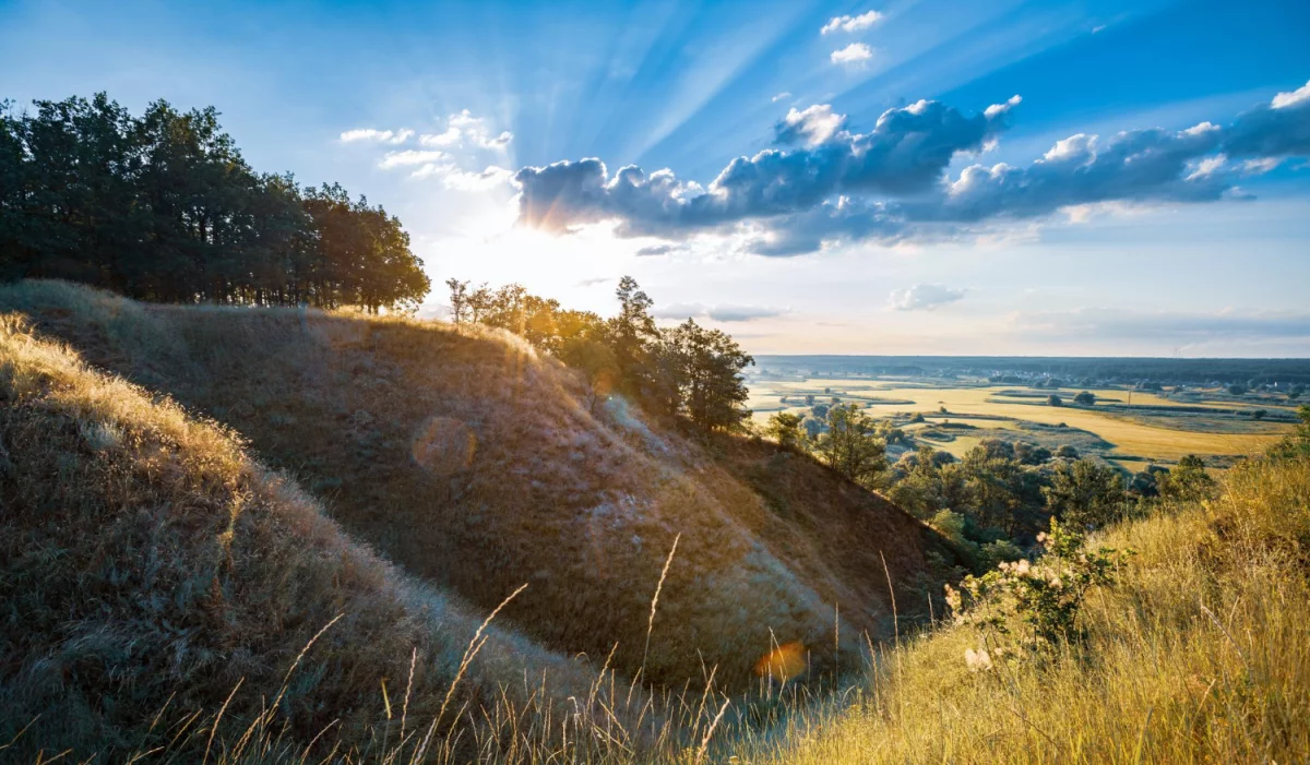 Czy jest nowe prawo jak zobaczyć taniec w Krakowie?