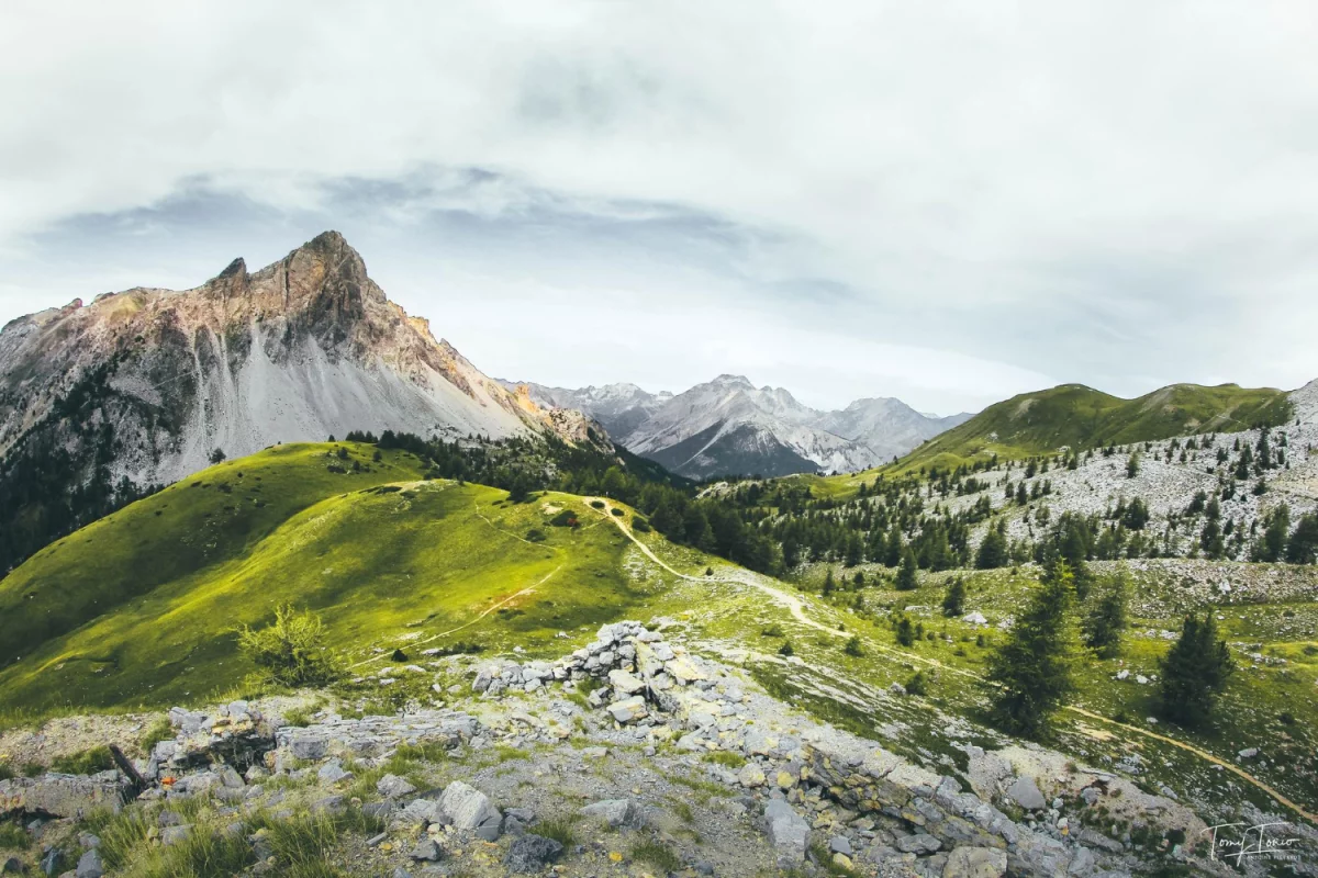  Ever wanted to choose a chauffeur to go about it? 