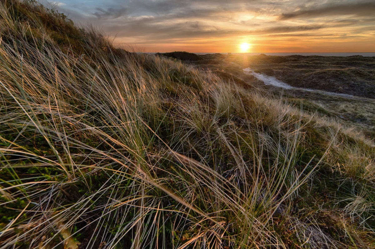 2025 dobrym czasem aby  wdrożyć GOZ